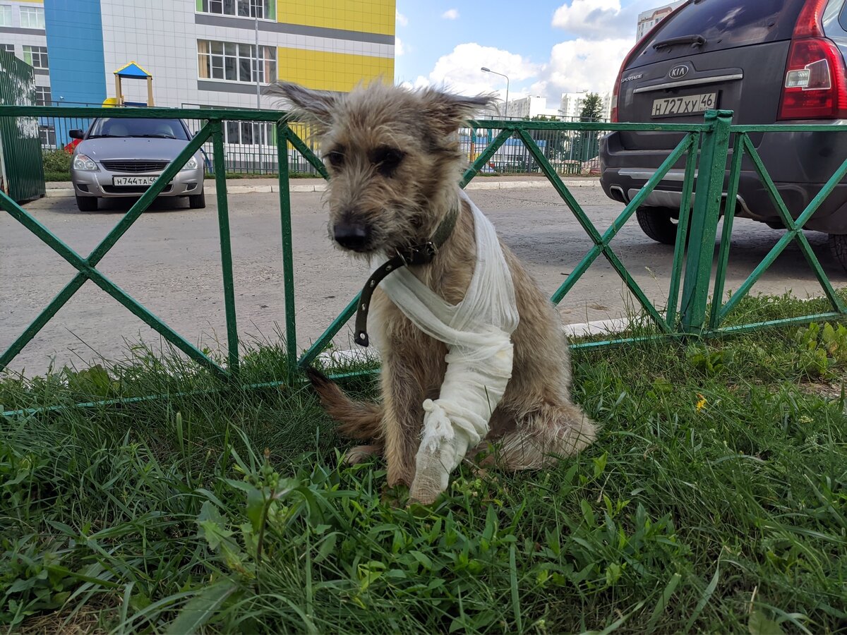 Мотя на прогулке