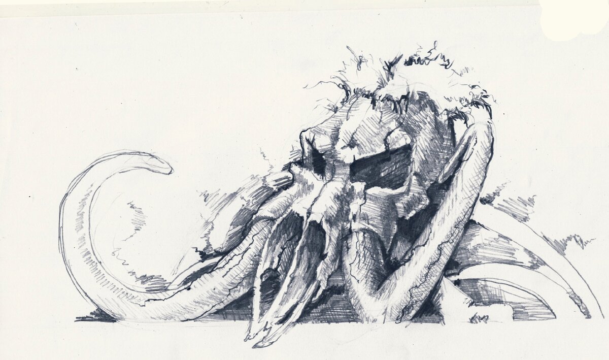 иллюстрация Vassily Gowais