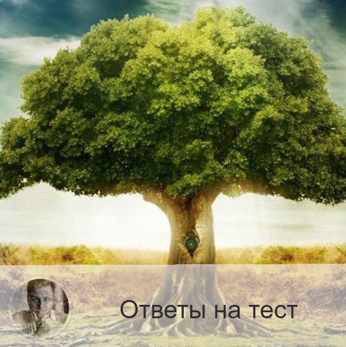 Подписывайтесь и ставьте 👍
Если вы выбрали: 
🌳Первое дерево, то знайте, что ваше желание сбудется только в случае, если вы исполните чьё-то чужое желание.

🌳Второе дерево, то ваше желание сбудется, если вы будете молчать о нём, никому не говоря.

🌳Третье дерево, то желание обязательно сбудется в ближайшее время.

🌳Четвёртое дерево, то желание сбудется в сентябре!

🌳Пятое дерево, то знайте, что вы заслужили своё желание по праву, поэтому оно точно сбудется.

🌳Шестое дерево, то ваше желание сбудется, если оно связано со здоровьем.

—————
Ещё больше тестов:
https://numeromagic.ru/testy/