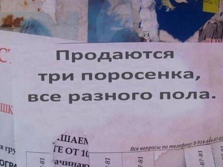 Продавался поштучными штуками   Непредсказуем маршрут эволюций — Метаморфозы, мутанты, Эбола... Вот и на рынке у нас   Мир абсурден и безнадёжен, Небо скалится тёмными тучками.-5