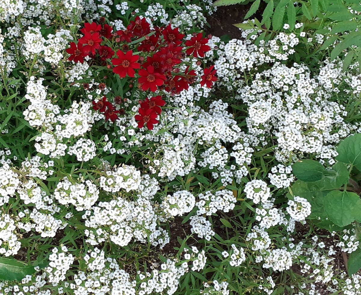 Фотографии сделаны 19 августа, у нас уже холодно :) 