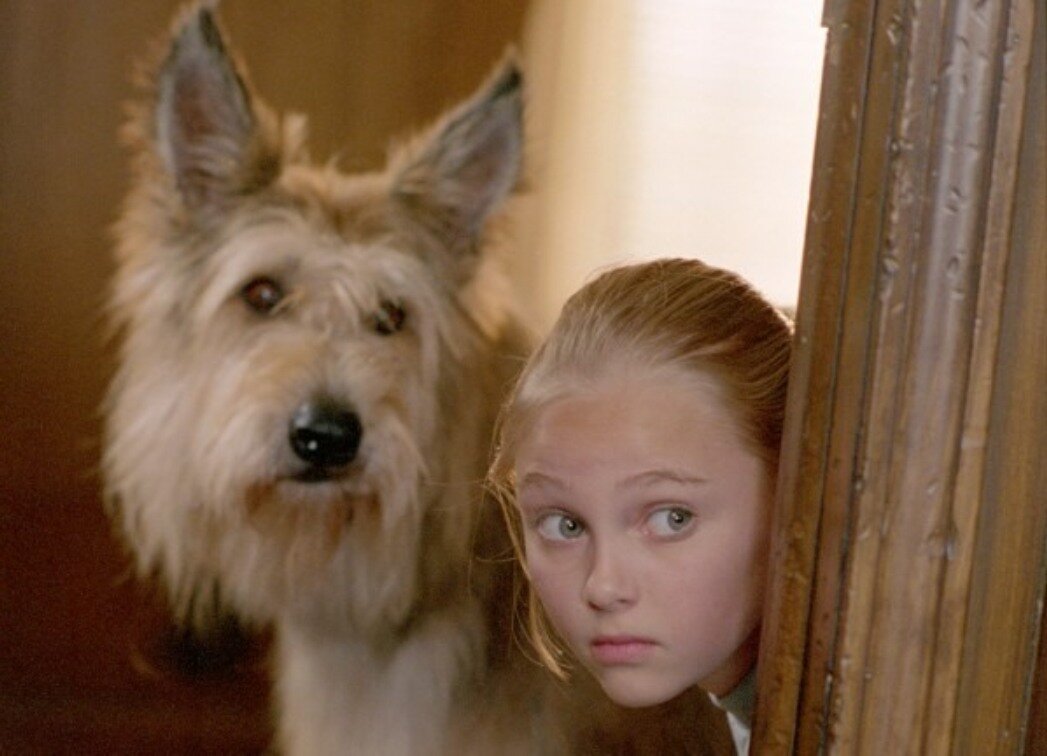  Благодаря Винн Дикси (2005) 