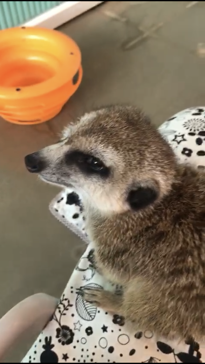 фото из личного архива