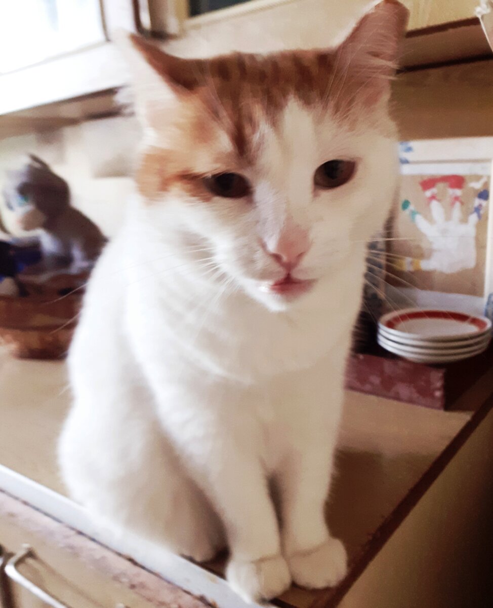 Алик: "Простите что вмешиваюсь... Разрешите спросить... Насколько завтрак будет задержан? Каковы основания для задержания?"