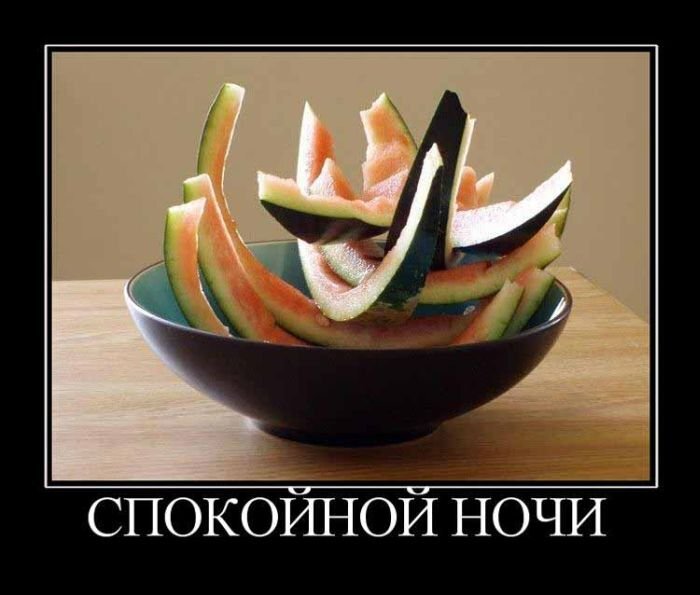 httpfotovideoforum.ru