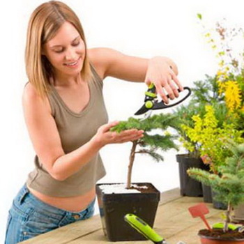 Правила ухода за комнатными растениями 	Успех в выращивании цветов в домашних условиях не требуется ни тяжелой работы, ни высокого мастерства.