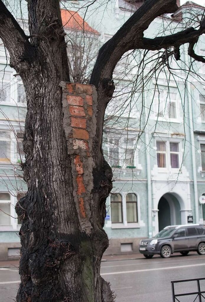 Россия - щедрая душа! Особенно на ремонт и юмор!)