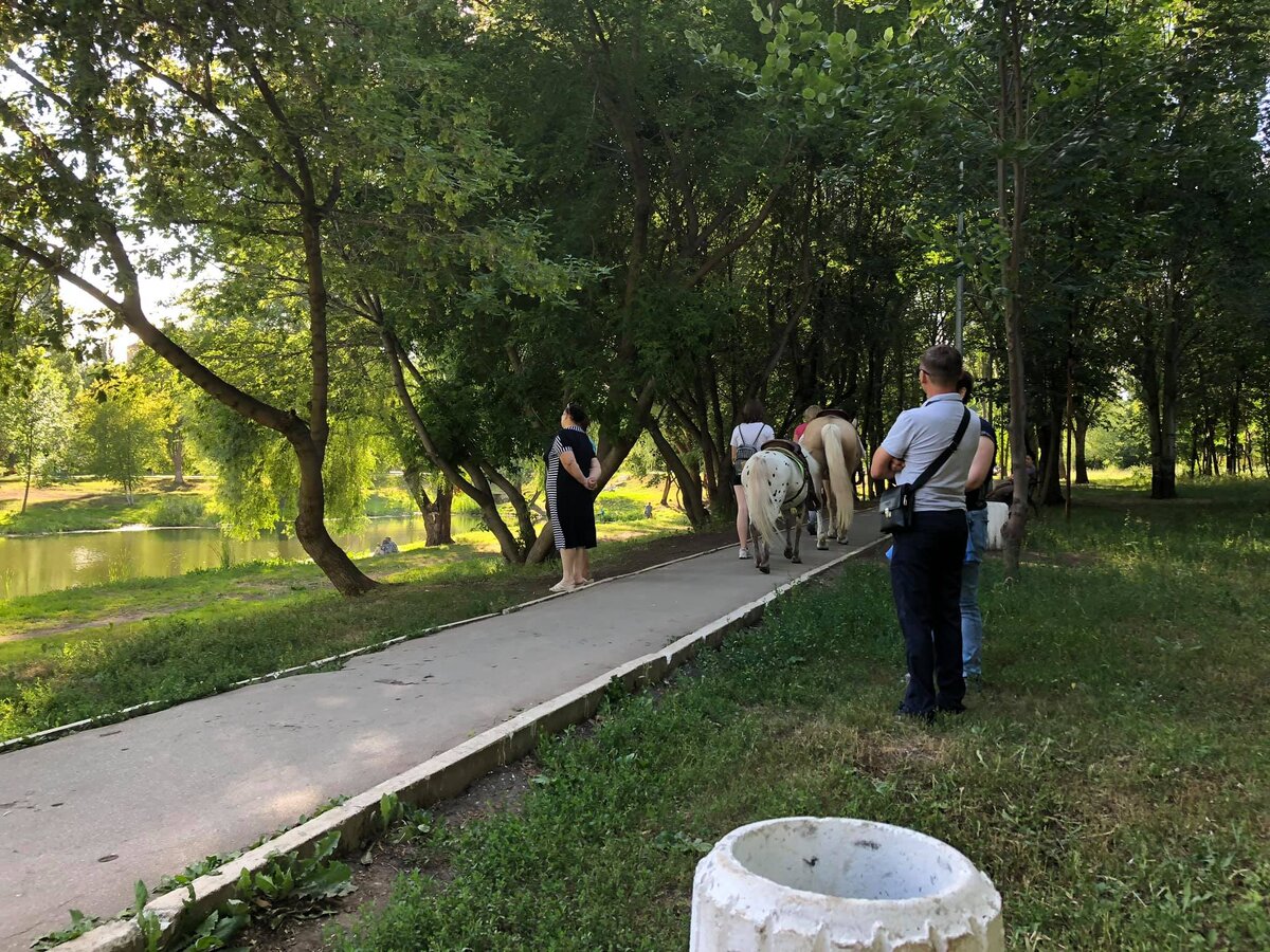 воронежские озера самара на