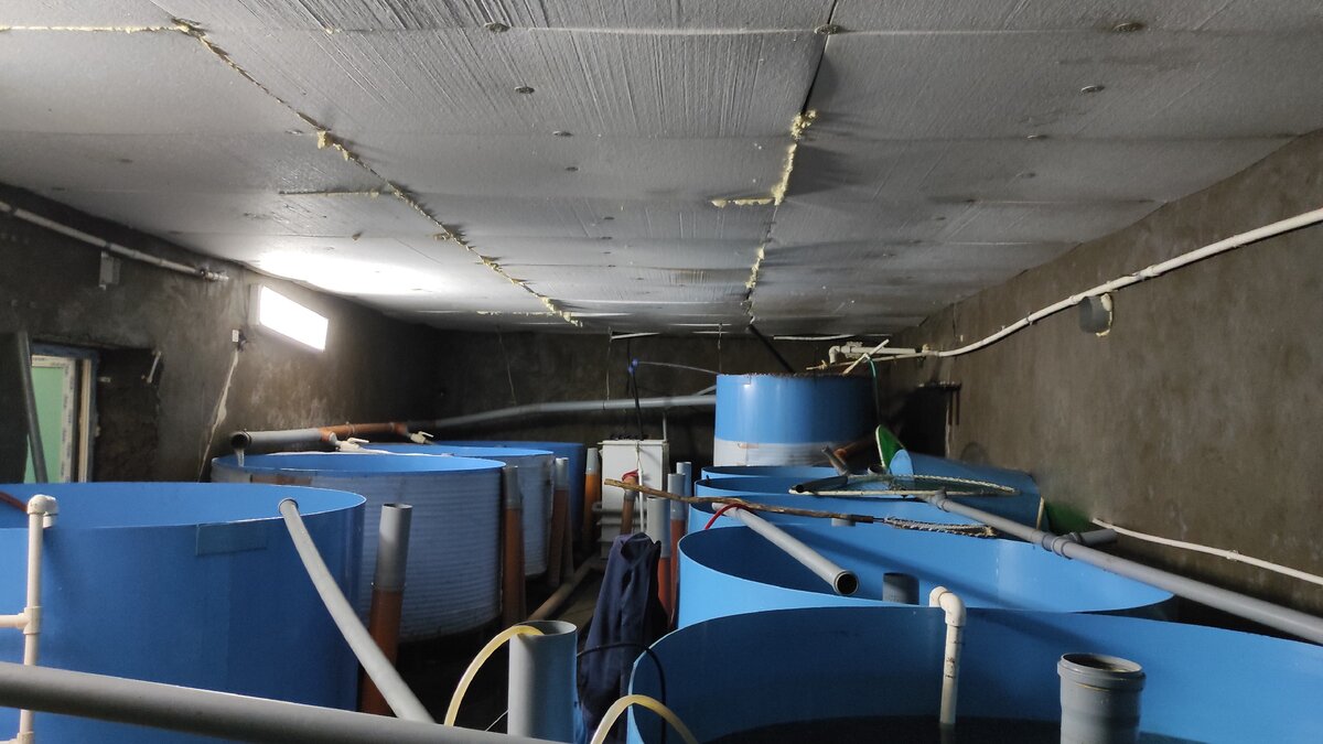 Рабочие будни у нас на ферме