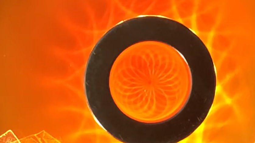 Натуральная фотография #цветокжизни сфираль