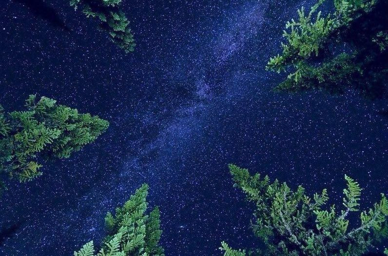 Вы никогда не замечали, что не очень похожи на свой солнечный знак (в средствах массовой информации это и есть ваш Знак Зодиака)? Просто потому что саму астрологию так затерли во второсортных журналах, мнениях и газетах, что забыли о существовании натальной карты.