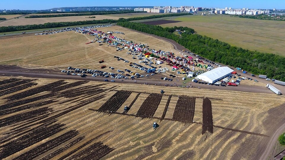 Основа сельскогохозяйственного бизнеса. Преимущества и недостатки