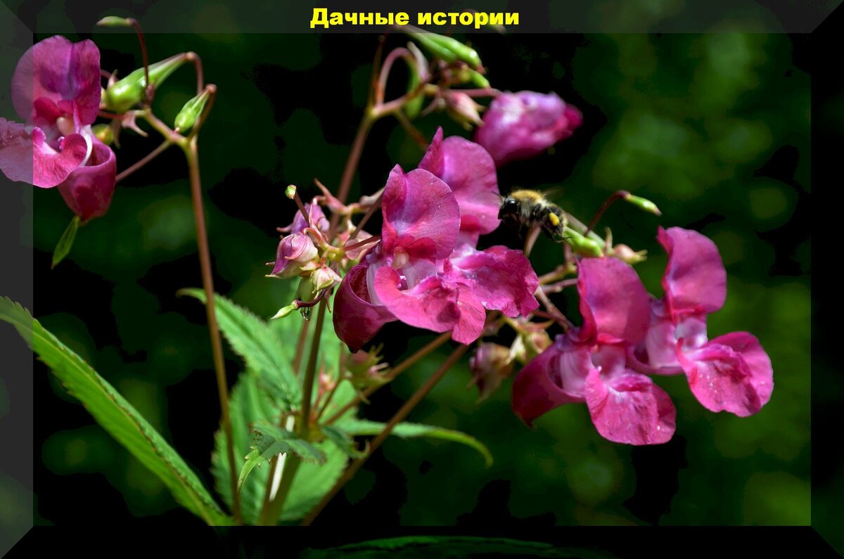 https://vk.com/photo-159774511_457245147