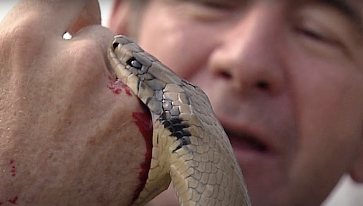 Шеф https://clck.ru/Spgnzповар