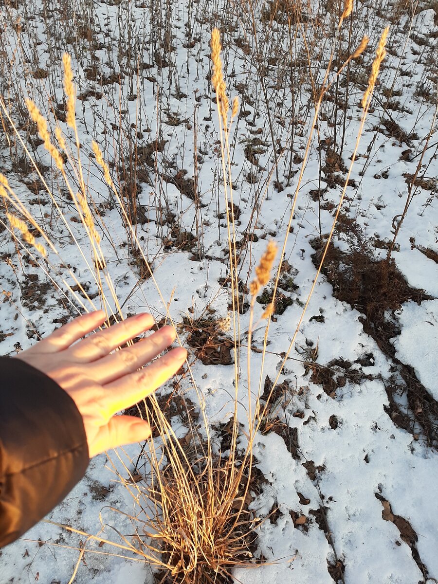 Размышления о выборе