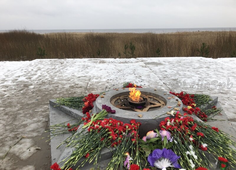 Фото из личного архива. Вечный огонь. Мемориал "Разорванное кольцо"