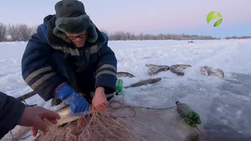 Зимняя рыбалка на щуку на Крайнем Севере. Рыбалка сетями