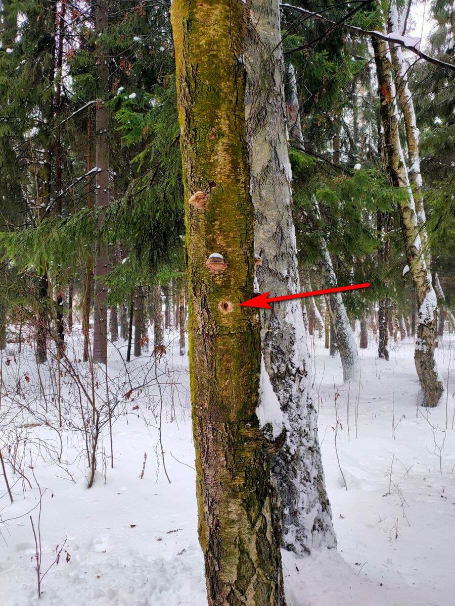 И увидела еще одну дырку на уровне глаз, она тоже была очень глубокая