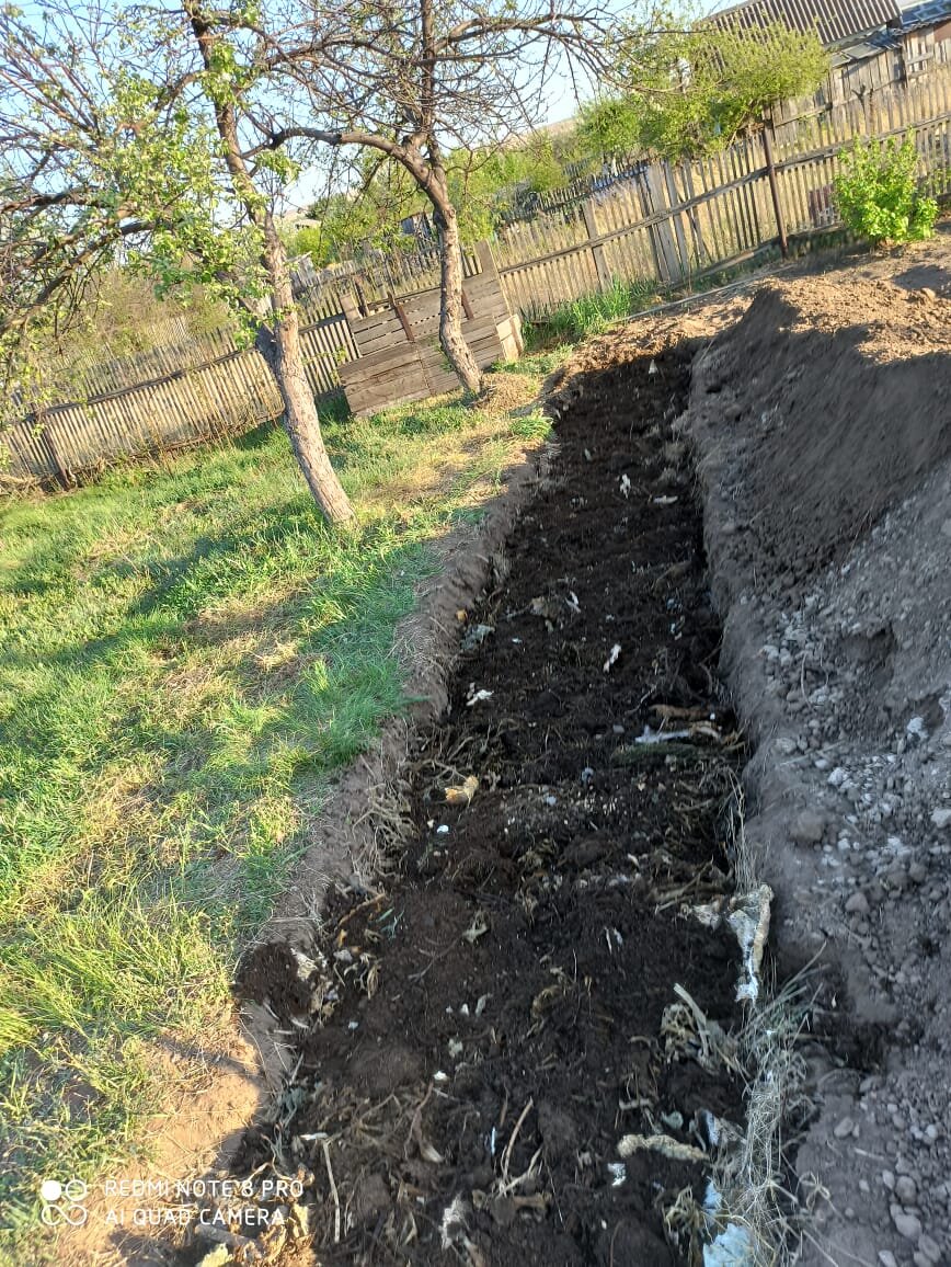 Тут ещё "урожай" из перегнойной грядки