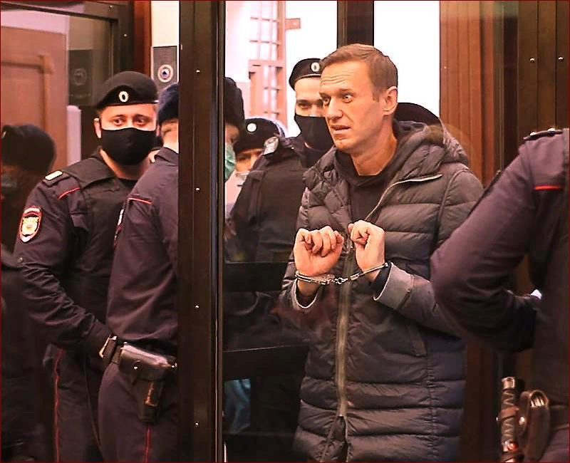 Почему посадили. Судья Кулешов Симоновский суд. Судья Навального Наталья Репникова. Судья Симоновского районного суда Москвы Наталья Репникова. Вершинин Симоновский суд
