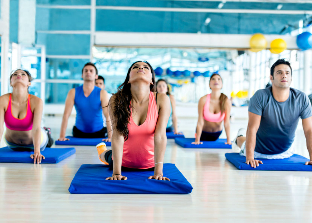 изображение заимствовано из свободных источников