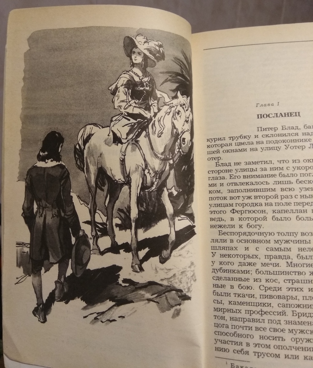 Замечательные иллюстрации из книги
