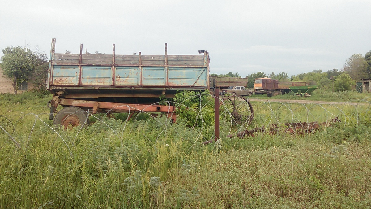 Где-то по дороге. Фото автора.