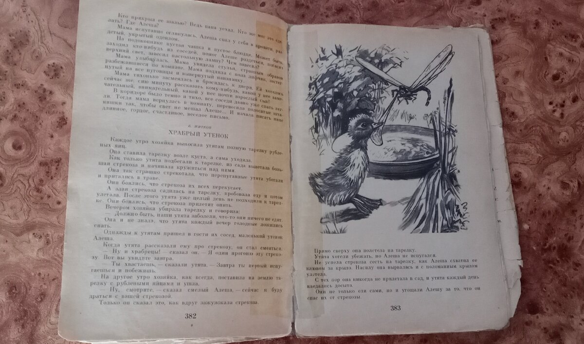 Странички из книги. 