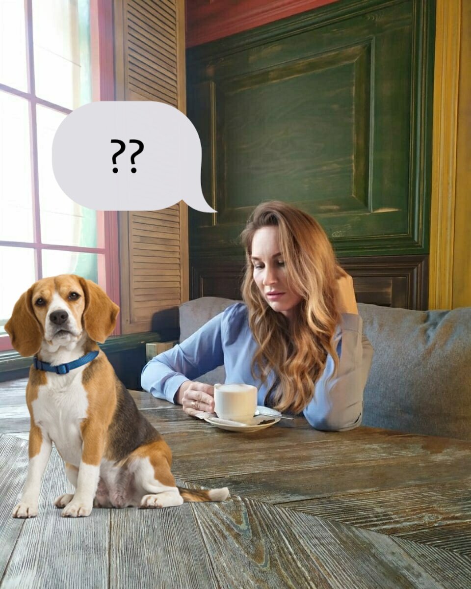 Знал бы где упасть соломки бы подстелил. Коллаж автора.