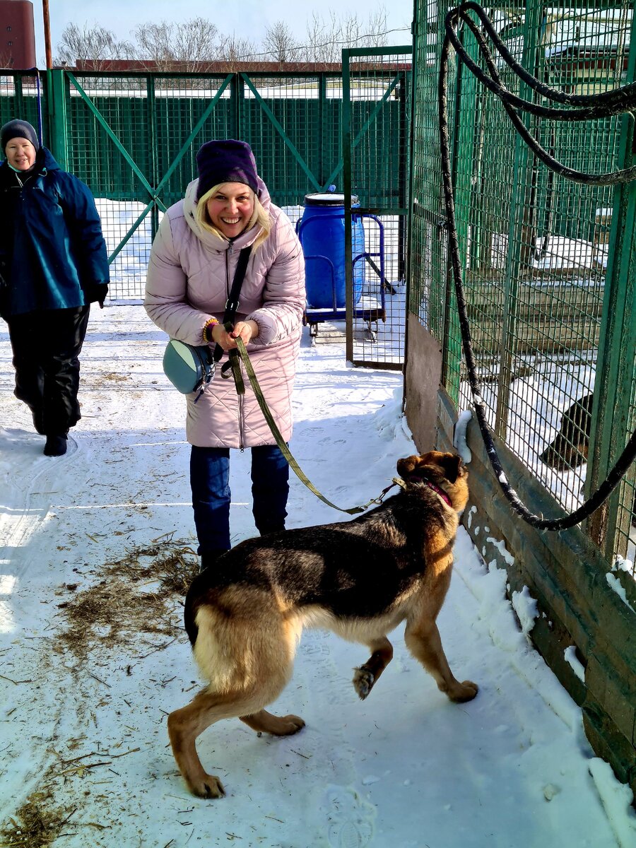 Инн волонтеры. Приют для собак в Ташкенте. Приют для собак Ставрополь лучший друг.