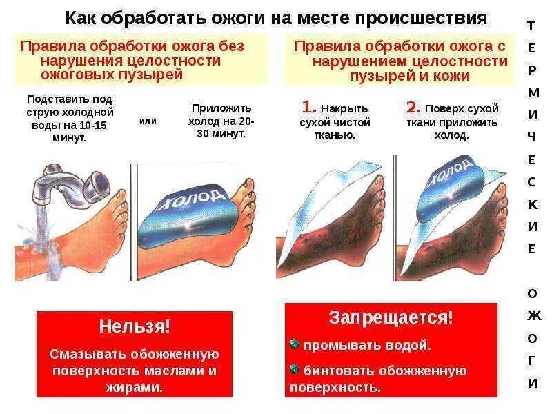 Технология высокой очистки полинуклеотидов и…