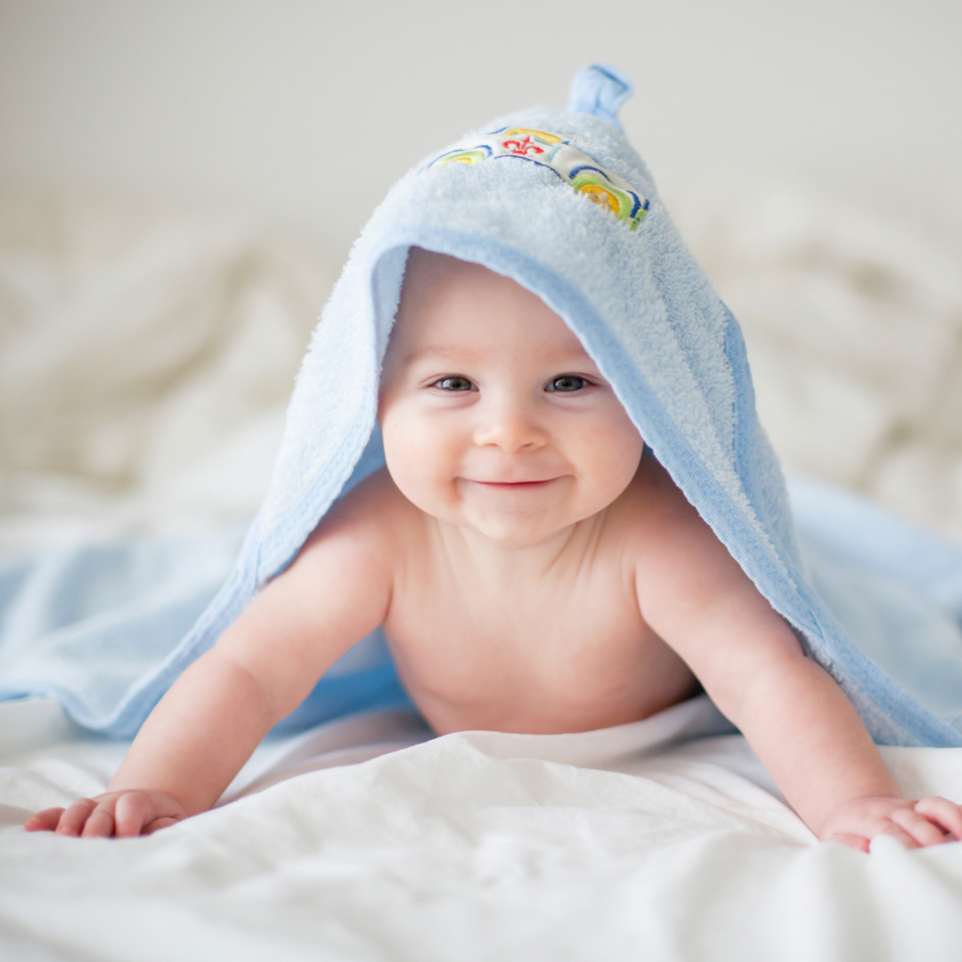 фото: shutterstock.com