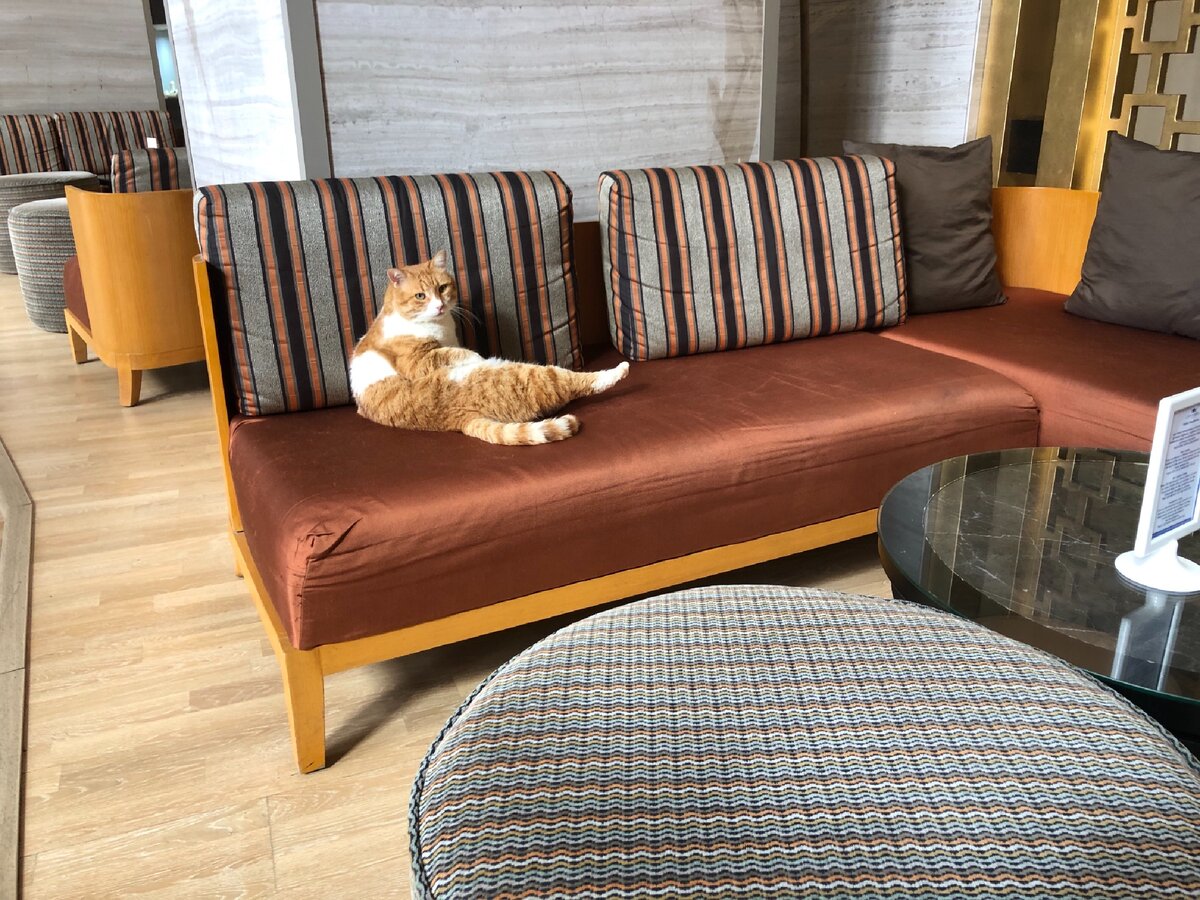 Пустите переночевать! У меня гражданства нет!