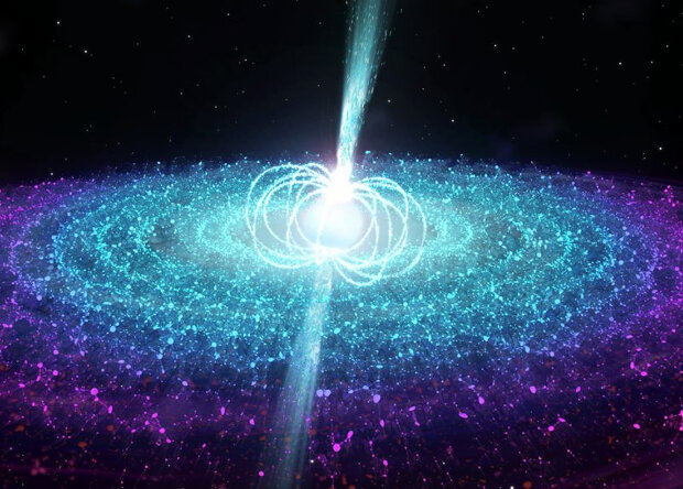 Фото взято из открытых источников.