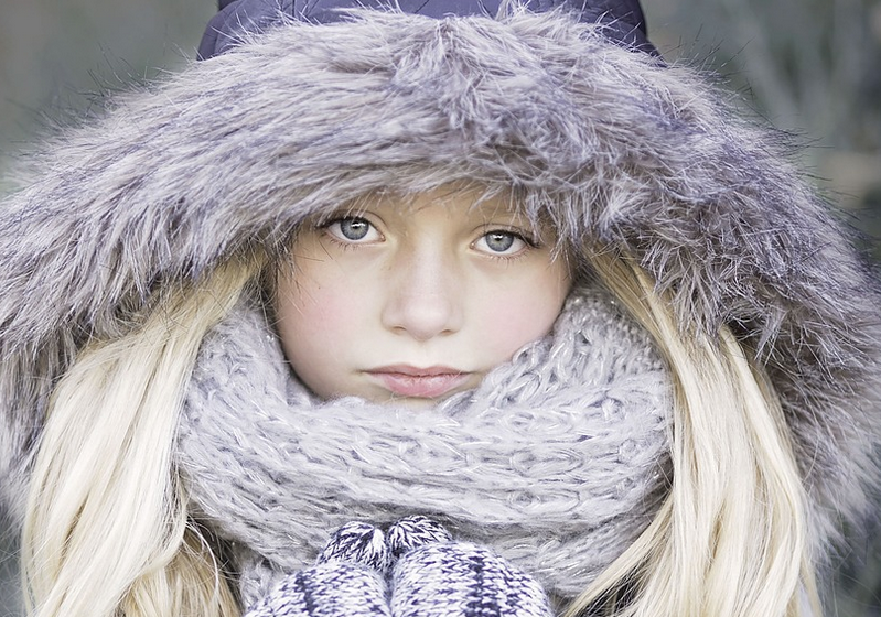 Источник - https://pixabay.com