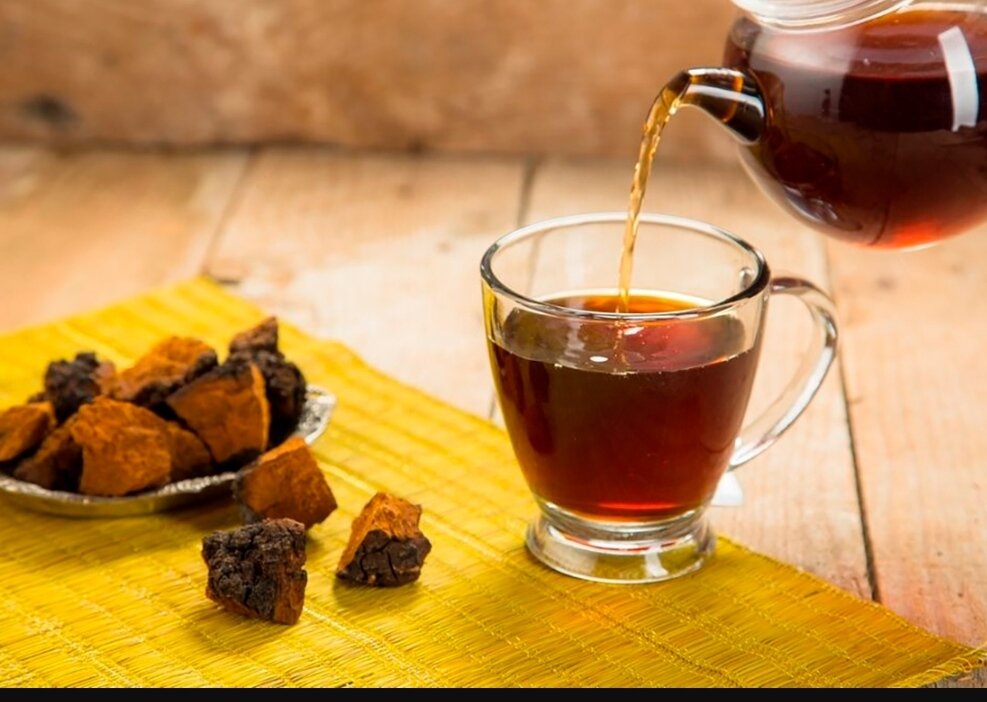 Чай из чаги