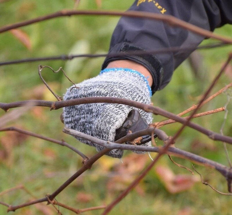 Источник фото https://www.instagram.com/p/CGuRv0nh4hH/