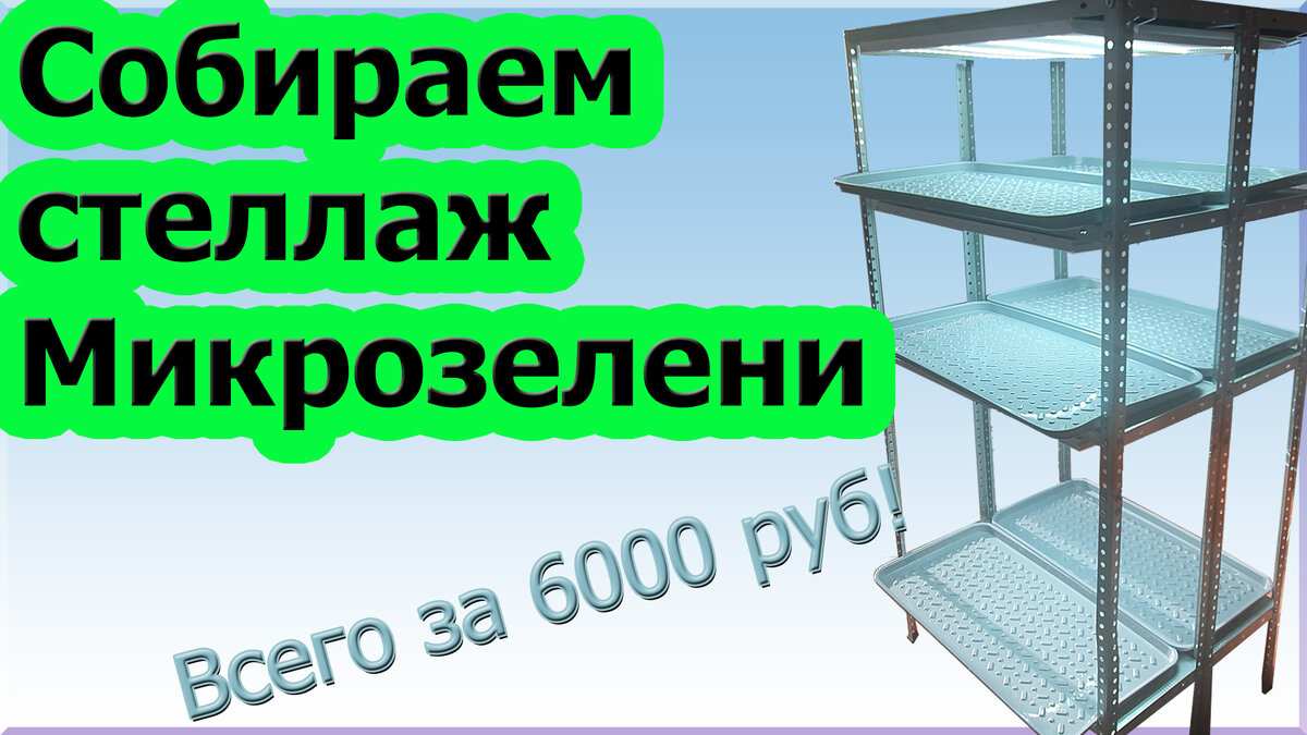 Как собрать стеллаж для микрозелени (видео) | Фёдорова и Пузыня | Дзен