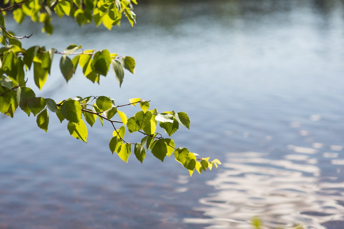 Финны считают, что число 13 не сулит несчастье, а наоборот приносит удачу, а вот обнимать человека через порог — не самая лучшая идея