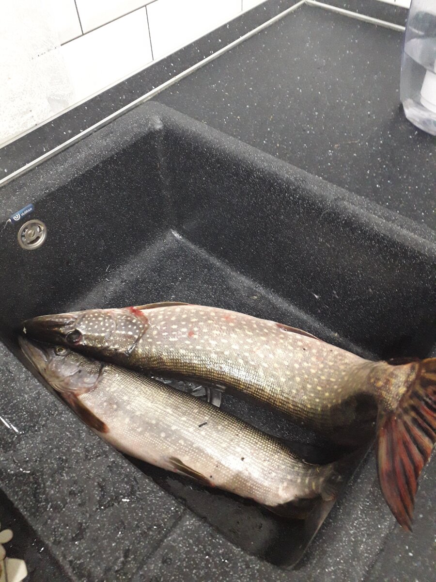 Из личного архива