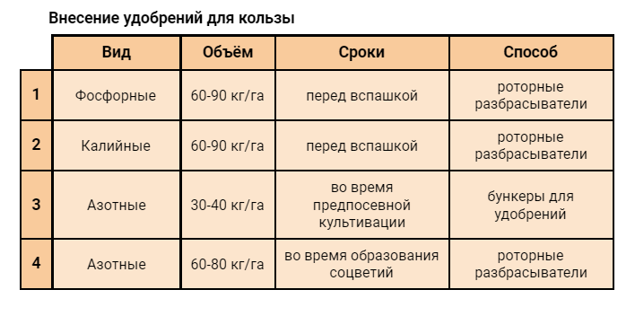 Бизнес план по выращиванию рапса