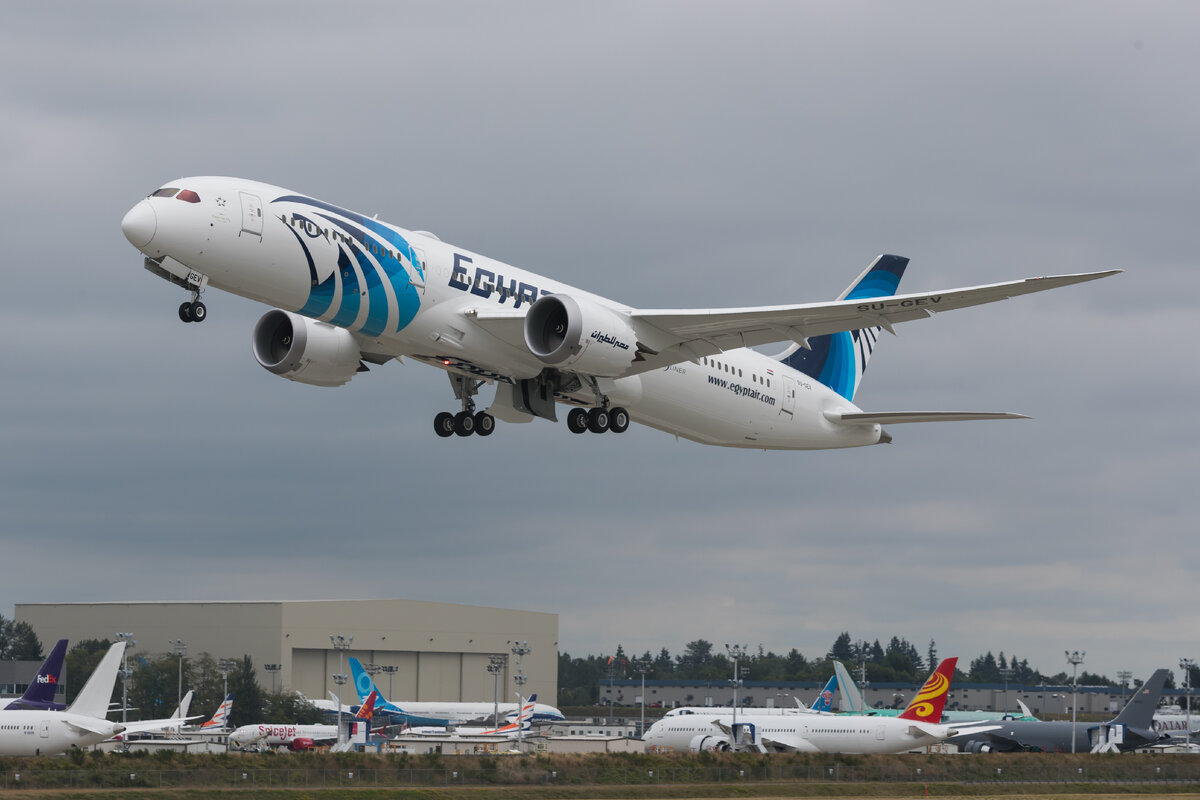 Российские туристы прибыли прямым рейсом в Хургаду после шестилетнего перерыва