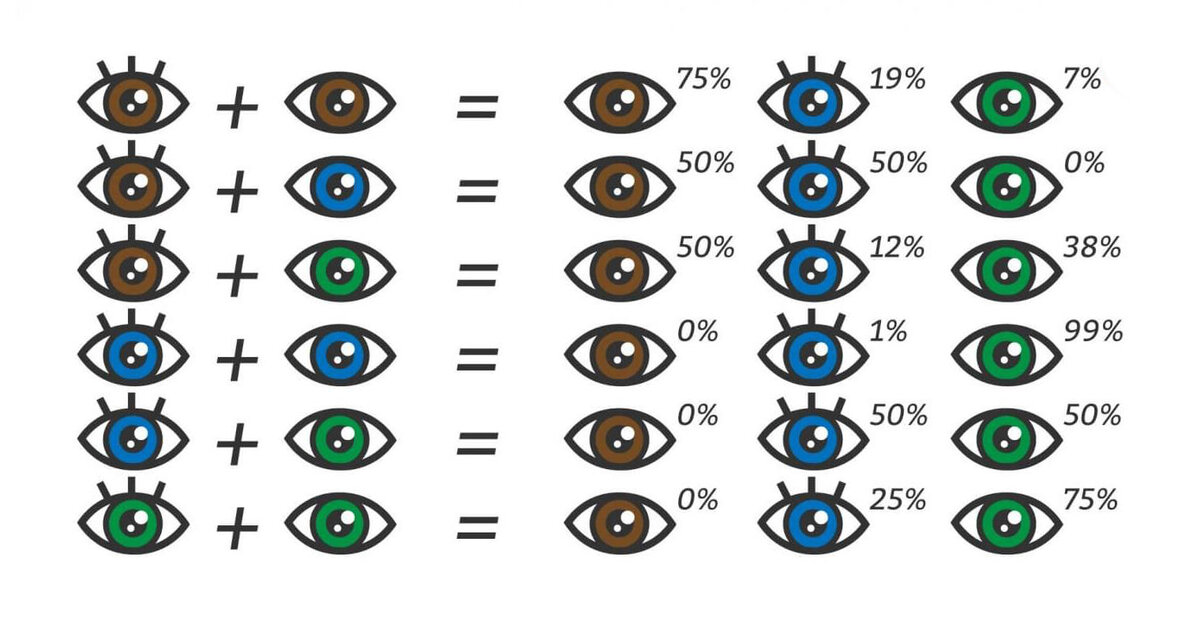 Генетика цвета глаз.