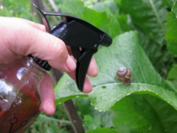 Добавьте описание