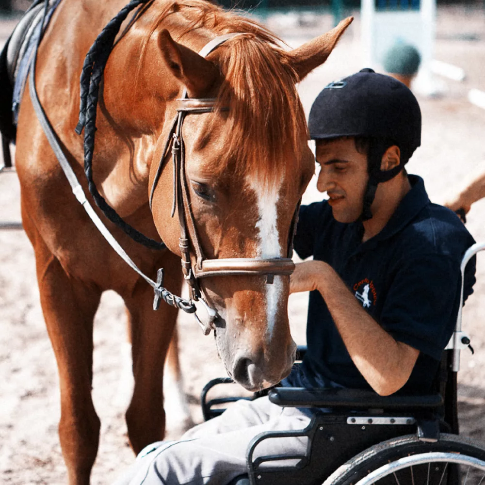 Иппотерапия 