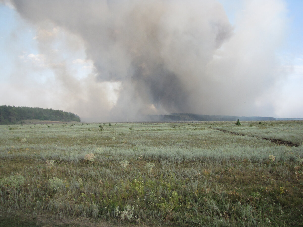 Вдали горит лес