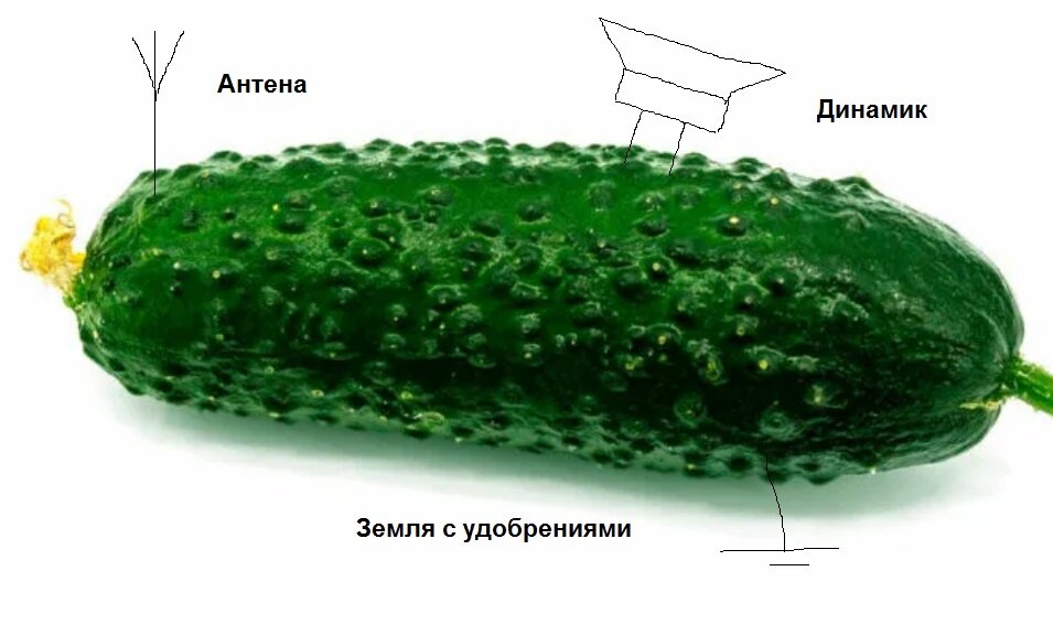 Детектор огурец