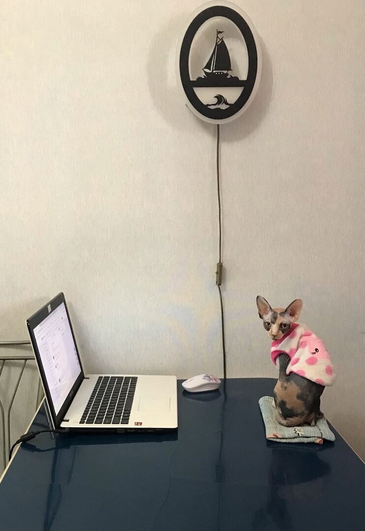 Моника в ожидании сериала.