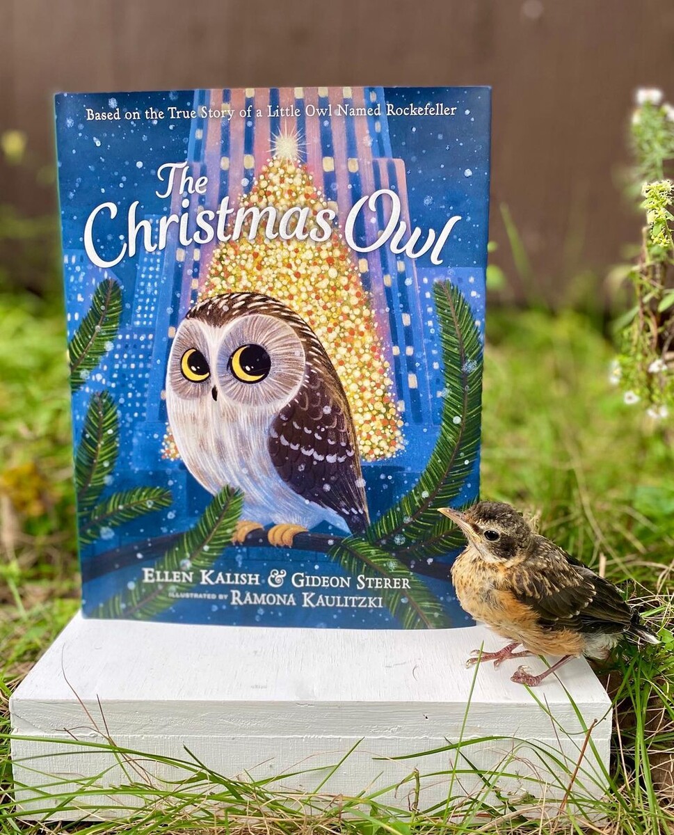 Источник facebook.com/RavensbeardWildlifeCenter