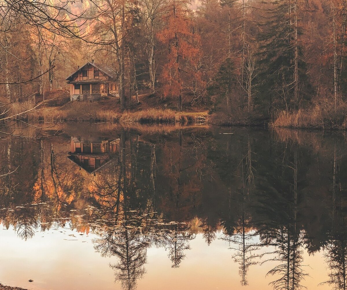 изображение с сайта pixabay.com